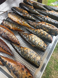 Frozen Tinapa (Mackerel) (Shipping week: June 01)